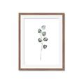 Picture of Leaves II _GroupedProduct_Rectangle_Portrait_Framed_Matted_