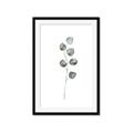 Picture of Leaves II _GroupedProduct_Rectangle_Portrait_Framed_Matted_
