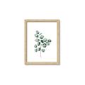 Picture of Leaves III _GroupedProduct_Rectangle_Portrait_Framed_Matted_