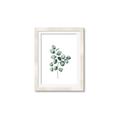 Picture of Leaves III _GroupedProduct_Rectangle_Portrait_Framed_Matted_