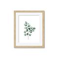 Picture of Leaves III _GroupedProduct_Rectangle_Portrait_Framed_Matted_