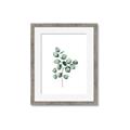 Picture of Leaves III _GroupedProduct_Rectangle_Portrait_Framed_Matted_