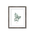 Picture of Leaves III _GroupedProduct_Rectangle_Portrait_Framed_Matted_