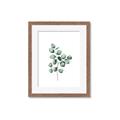 Picture of Leaves III _GroupedProduct_Rectangle_Portrait_Framed_Matted_