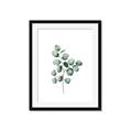 Picture of Leaves III _GroupedProduct_Rectangle_Portrait_Framed_Matted_