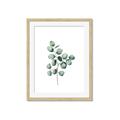 Picture of Leaves III _GroupedProduct_Rectangle_Portrait_Framed_Matted_