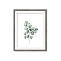 Picture of Leaves III _GroupedProduct_Rectangle_Portrait_Framed_Matted_