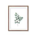 Picture of Leaves III _GroupedProduct_Rectangle_Portrait_Framed_Matted_