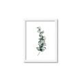 Picture of Leaves IV _GroupedProduct_Rectangle_Portrait_Framed_Matted_