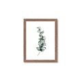Picture of Leaves IV _GroupedProduct_Rectangle_Portrait_Framed_Matted_