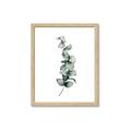 Picture of Leaves IV _GroupedProduct_Rectangle_Portrait_Framed_Matted_
