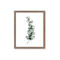 Picture of Leaves IV _GroupedProduct_Rectangle_Portrait_Framed_Matted_
