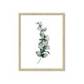 Picture of Leaves IV _GroupedProduct_Rectangle_Portrait_Framed_Matted_