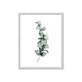 Picture of Leaves IV _GroupedProduct_Rectangle_Portrait_Framed_Matted_