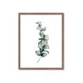 Picture of Leaves IV _GroupedProduct_Rectangle_Portrait_Framed_Matted_