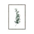 Picture of Leaves IV _GroupedProduct_Rectangle_Portrait_Framed_Matted_