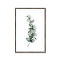 Picture of Leaves IV _GroupedProduct_Rectangle_Portrait_Framed_Matted_
