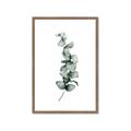 Picture of Leaves IV _GroupedProduct_Rectangle_Portrait_Framed_Matted_