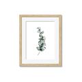 Picture of Leaves IV _GroupedProduct_Rectangle_Portrait_Framed_Matted_
