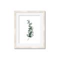 Picture of Leaves IV _GroupedProduct_Rectangle_Portrait_Framed_Matted_