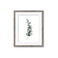 Picture of Leaves IV _GroupedProduct_Rectangle_Portrait_Framed_Matted_
