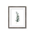 Picture of Leaves IV _GroupedProduct_Rectangle_Portrait_Framed_Matted_