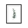 Picture of Leaves IV _GroupedProduct_Rectangle_Portrait_Framed_Matted_