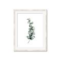 Picture of Leaves IV _GroupedProduct_Rectangle_Portrait_Framed_Matted_