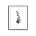 Picture of Leaves IV _GroupedProduct_Rectangle_Portrait_Framed_Matted_