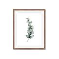 Picture of Leaves IV _GroupedProduct_Rectangle_Portrait_Framed_Matted_
