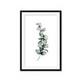 Picture of Leaves IV _GroupedProduct_Rectangle_Portrait_Framed_Matted_