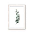 Picture of Leaves IV _GroupedProduct_Rectangle_Portrait_Framed_Matted_