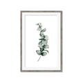 Picture of Leaves IV _GroupedProduct_Rectangle_Portrait_Framed_Matted_