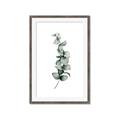 Picture of Leaves IV _GroupedProduct_Rectangle_Portrait_Framed_Matted_