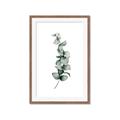 Picture of Leaves IV _GroupedProduct_Rectangle_Portrait_Framed_Matted_