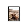 Picture of Furry Brown Cow _GroupedProduct_Rectangle_Portrait_Photography _GroupedProduct_Rectangle_Portrait_Framed_Matted_