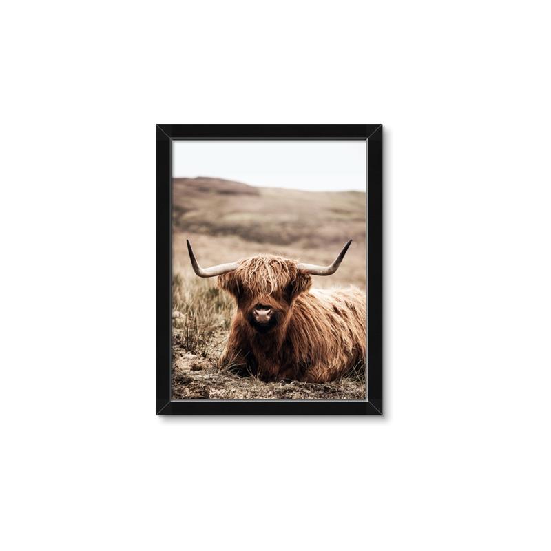 Picture of Furry Brown Cow _GroupedProduct_Rectangle_Portrait_Photography _GroupedProduct_Rectangle_Portrait_Framed_Matted_