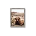 Picture of Furry Brown Cow _GroupedProduct_Rectangle_Portrait_Photography _GroupedProduct_Rectangle_Portrait_Framed_Matted_
