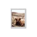 Picture of Furry Brown Cow _GroupedProduct_Rectangle_Portrait_Photography _GroupedProduct_Rectangle_Portrait_Framed_Matted_