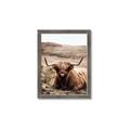 Picture of Furry Brown Cow _GroupedProduct_Rectangle_Portrait_Photography _GroupedProduct_Rectangle_Portrait_Framed_Matted_