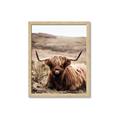 Picture of Furry Brown Cow _GroupedProduct_Rectangle_Portrait_Photography _GroupedProduct_Rectangle_Portrait_Framed_Matted_