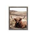 Picture of Furry Brown Cow _GroupedProduct_Rectangle_Portrait_Photography _GroupedProduct_Rectangle_Portrait_Framed_Matted_