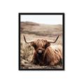 Picture of Furry Brown Cow _GroupedProduct_Rectangle_Portrait_Photography _GroupedProduct_Rectangle_Portrait_Framed_Matted_