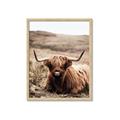 Picture of Furry Brown Cow _GroupedProduct_Rectangle_Portrait_Photography _GroupedProduct_Rectangle_Portrait_Framed_Matted_