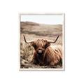 Picture of Furry Brown Cow _GroupedProduct_Rectangle_Portrait_Photography _GroupedProduct_Rectangle_Portrait_Framed_Matted_