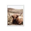 Picture of Furry Brown Cow _GroupedProduct_Rectangle_Portrait_Photography _GroupedProduct_Rectangle_Portrait_Framed_Matted_