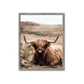 Picture of Furry Brown Cow _GroupedProduct_Rectangle_Portrait_Photography _GroupedProduct_Rectangle_Portrait_Framed_Matted_