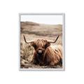 Picture of Furry Brown Cow _GroupedProduct_Rectangle_Portrait_Photography _GroupedProduct_Rectangle_Portrait_Framed_Matted_