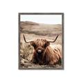 Picture of Furry Brown Cow _GroupedProduct_Rectangle_Portrait_Photography _GroupedProduct_Rectangle_Portrait_Framed_Matted_
