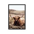 Picture of Furry Brown Cow _GroupedProduct_Rectangle_Portrait_Photography _GroupedProduct_Rectangle_Portrait_Framed_Matted_